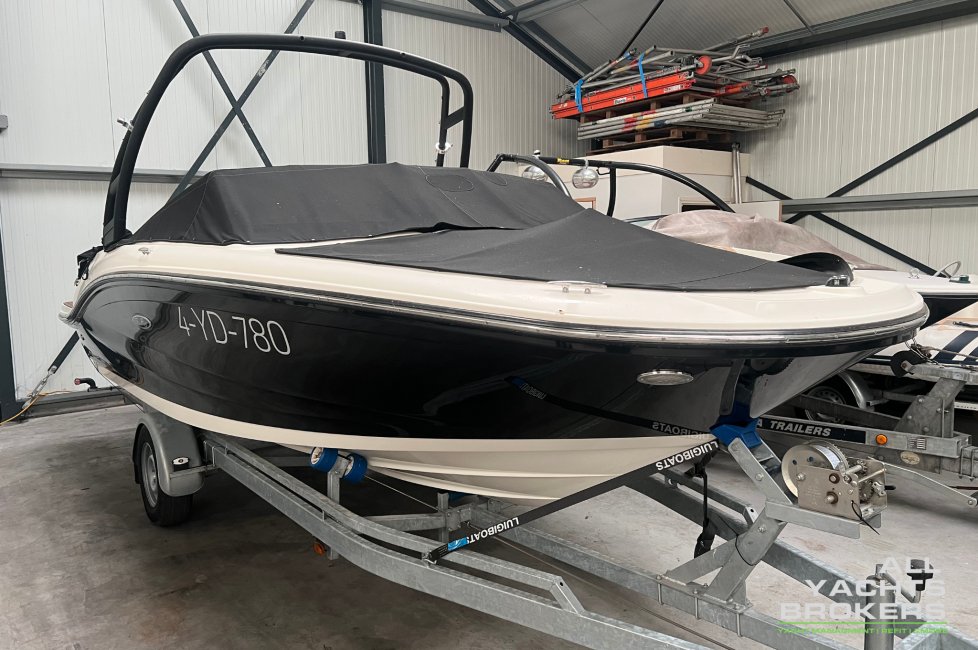 Sea Ray SPX 190 OB — foto 1 van 12