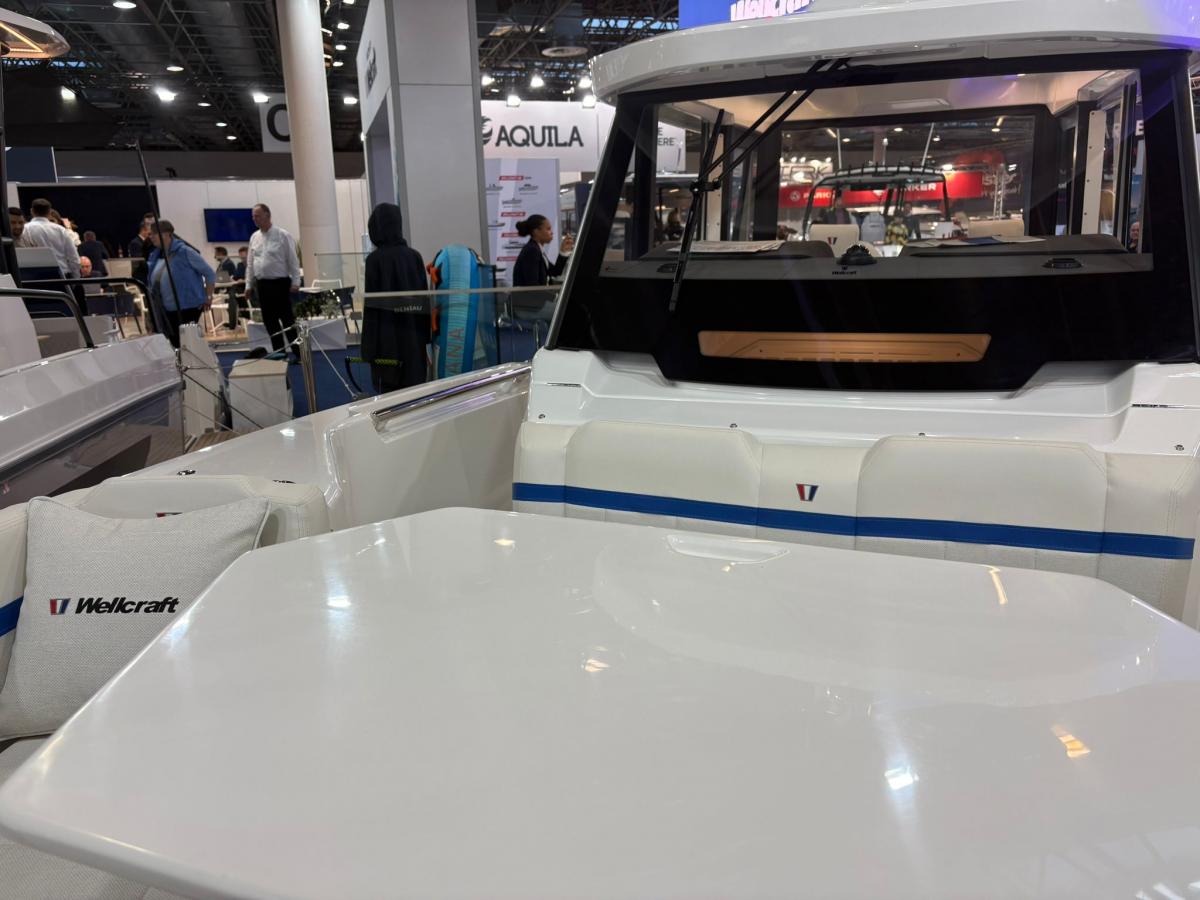 WELLCRAFT 28 Explorer — foto 10 van 31