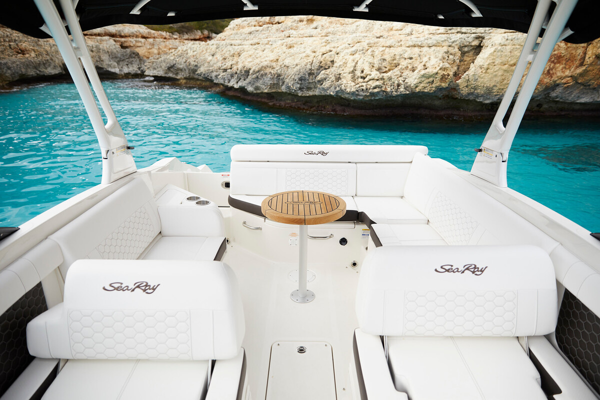 Sea Ray SDX 270 — foto 8 van 10