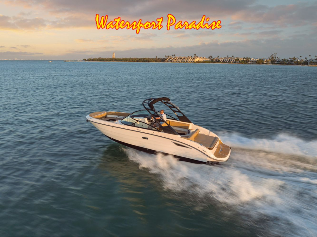 Sea Ray SDX 270 — foto 8 van 8