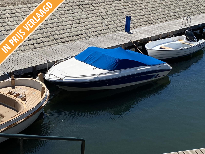 Sea Ray 185 — foto 3 van 12