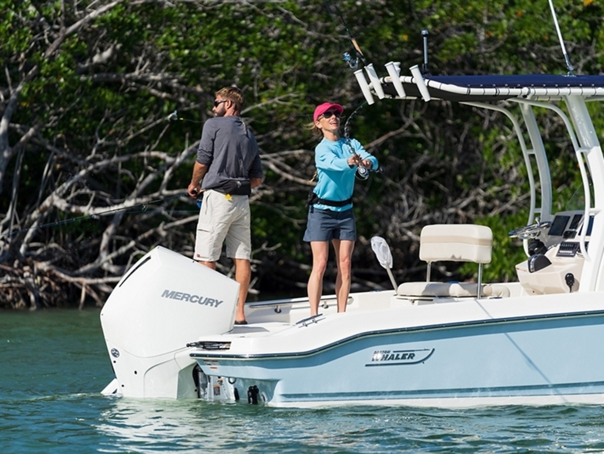 Boston Whaler 220 Dauntless — foto 10 van 17