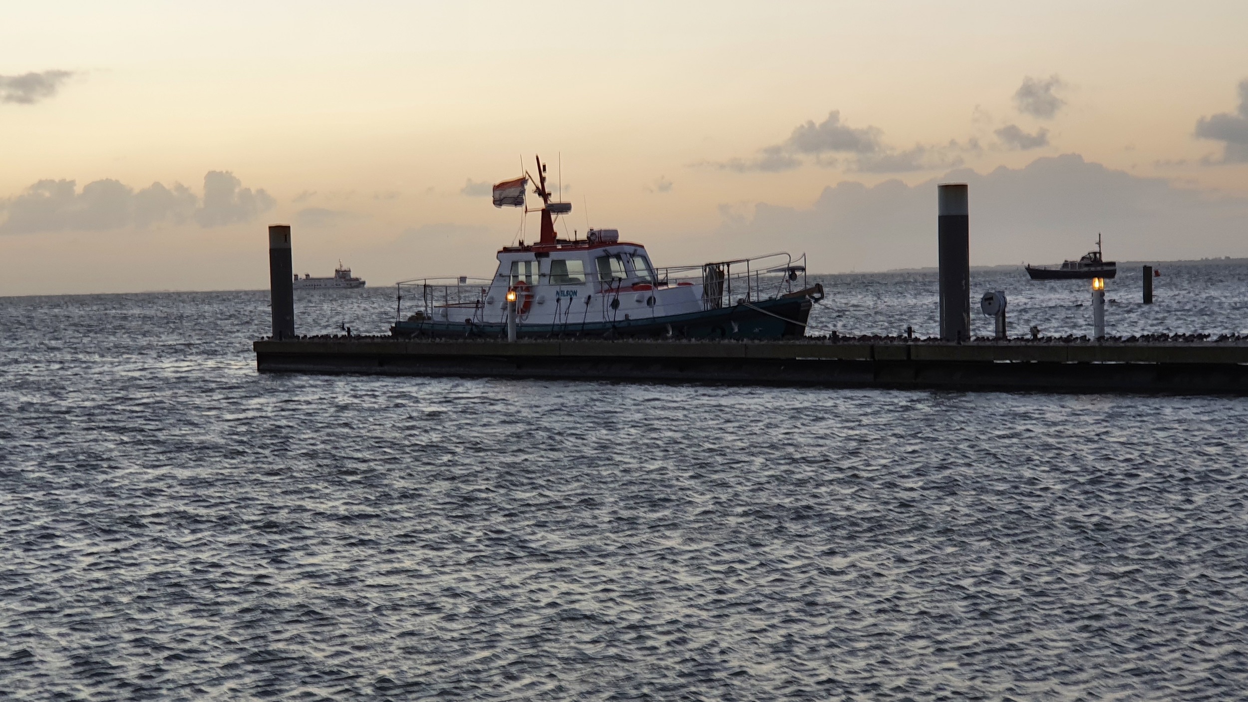 Nelson  Halmatic Pilot 40 FT — foto 34 van 91