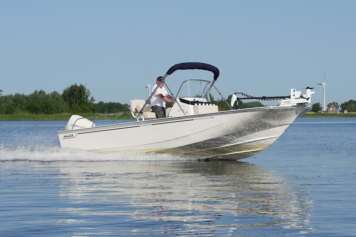 Boston Whaler 210 Montauk — foto 6 van 50