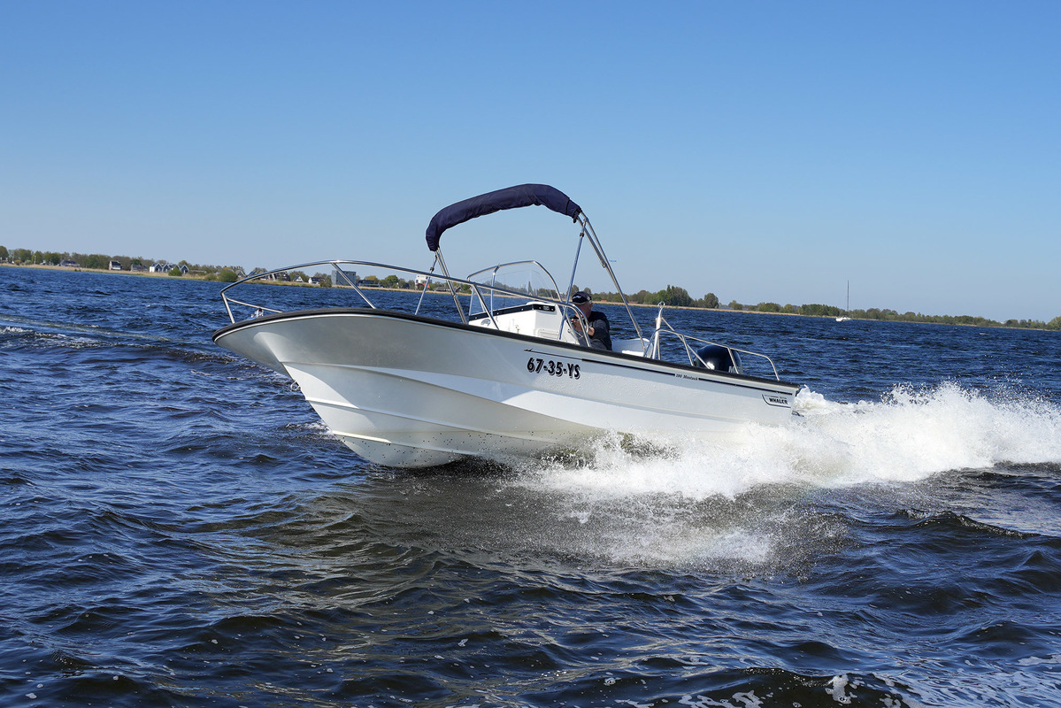 Boston Whaler 190 Montauk — foto 6 van 38