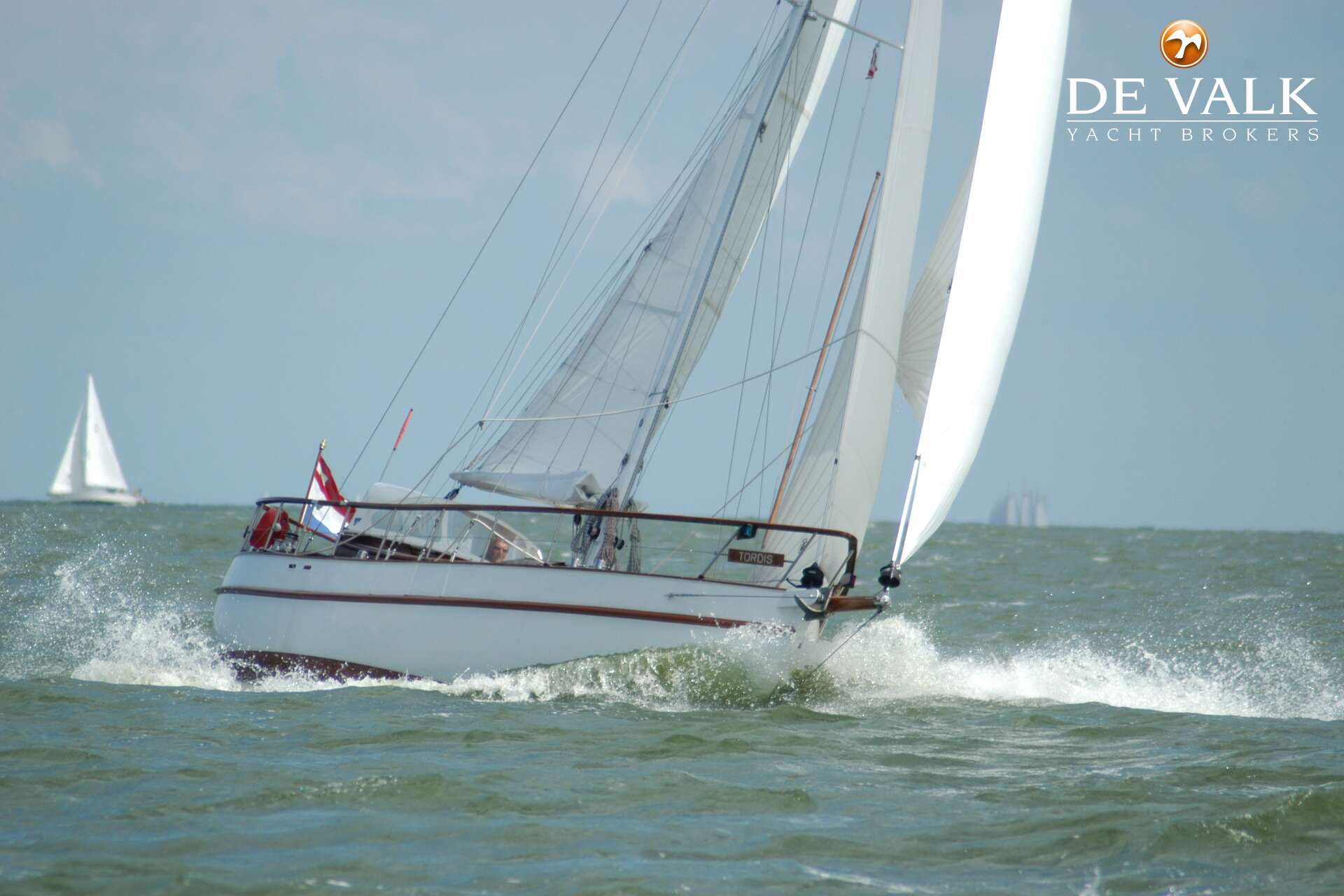 Danish Rose 31
