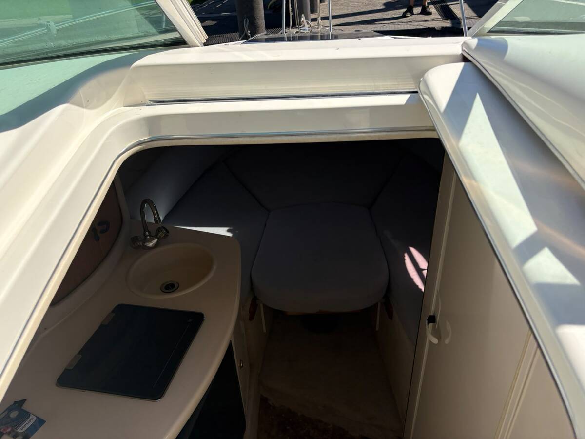 Sea Ray 250 Sundancer — foto 11 van 19