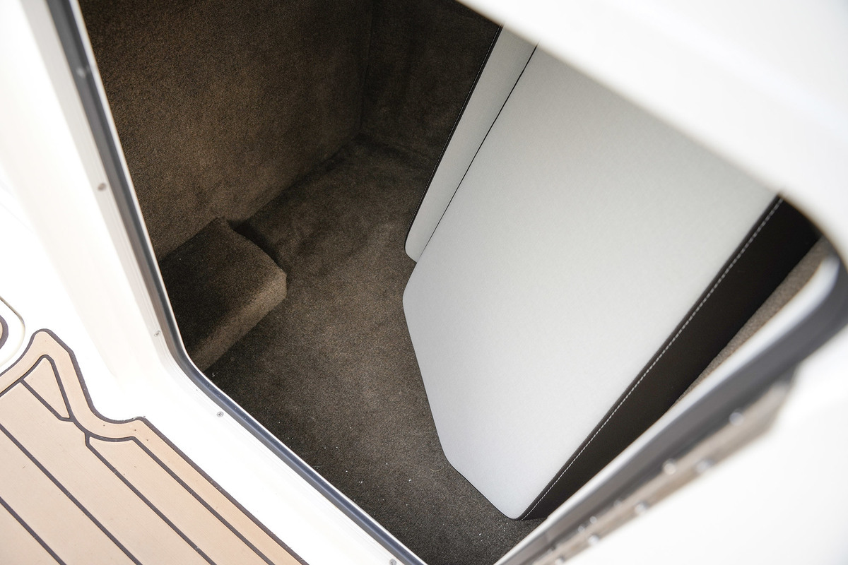 Sea Ray SDX 290 Outboard — foto 39 van 51