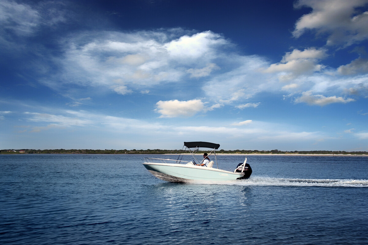 Boston Whaler 160 Super Sport — foto 5 van 19