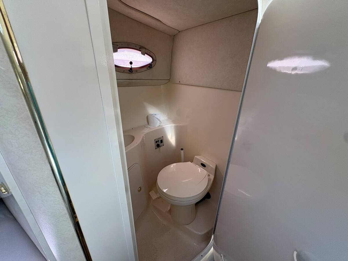 Sea Ray 250 Sundancer — foto 13 van 19