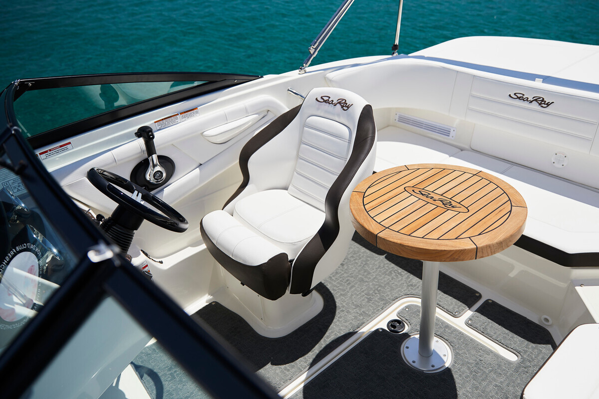 Sea Ray SPX 190 Outboard — foto 4 van 11