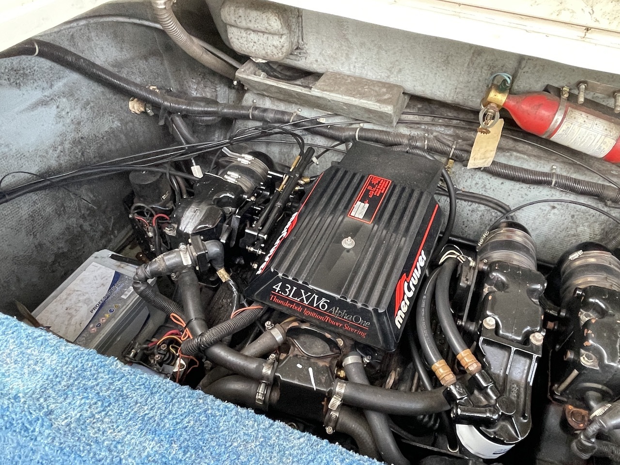 Sea Ray 260 OR — foto 16 van 18
