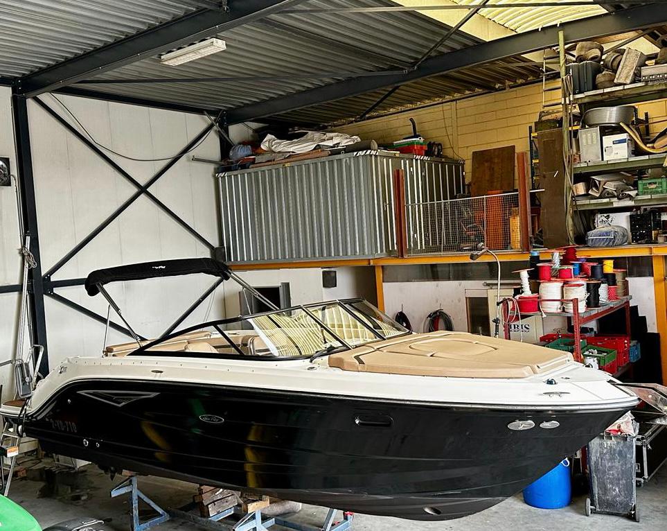 Sea Ray Sunsport