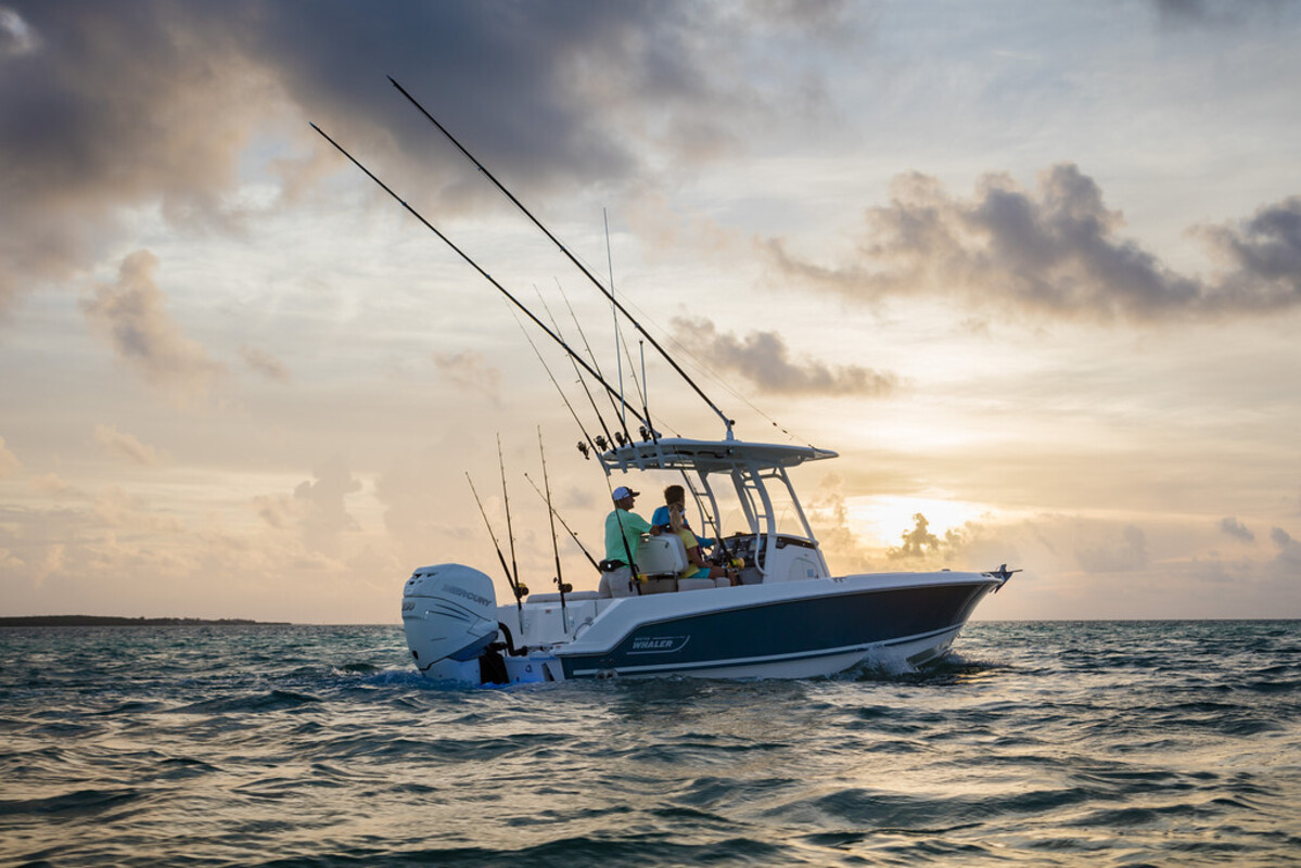 Boston Whaler 230 Outrage — foto 9 van 16