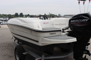 Bayliner Element E-16 — foto 6 van 21