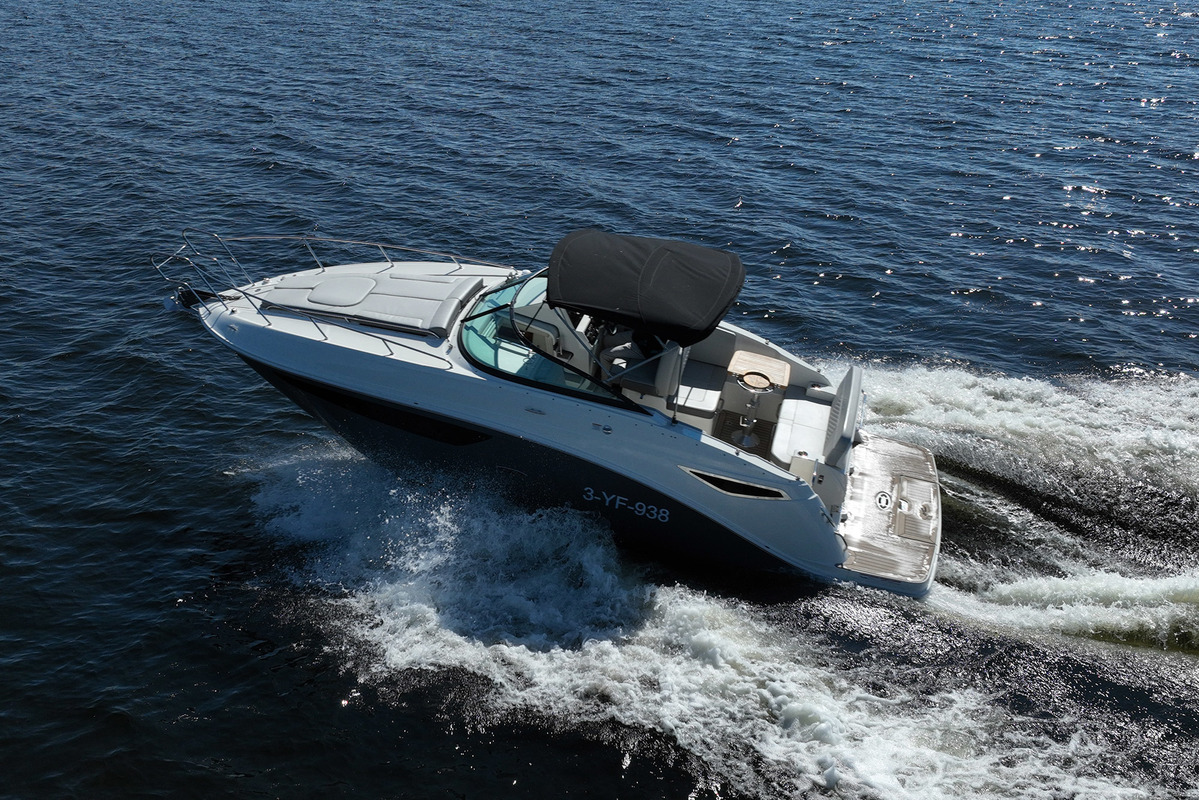 Sea Ray Sundancer 265 — foto 6 van 66