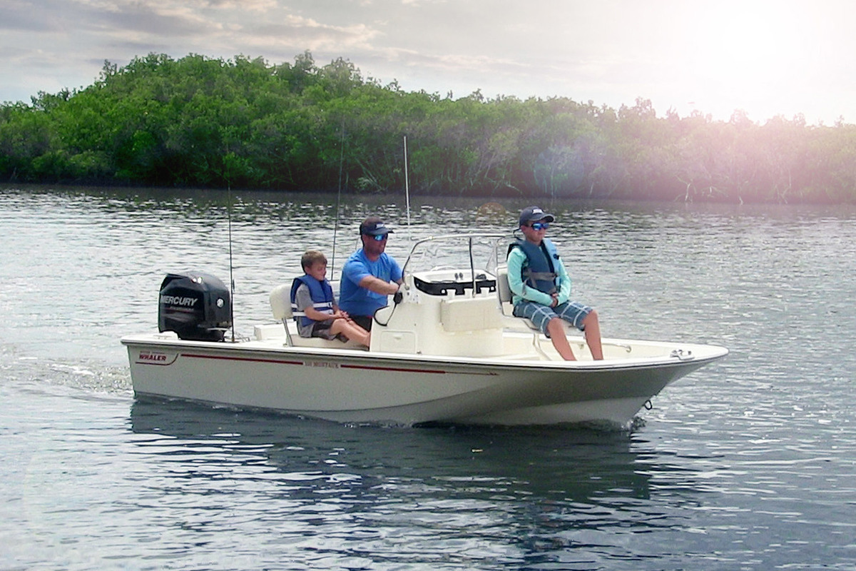 Boston Whaler 150 Montauk — foto 2 van 18