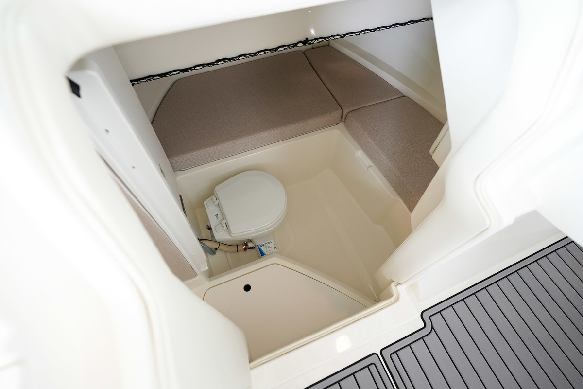 Sea Ray SDX 250 — foto 60 van 82