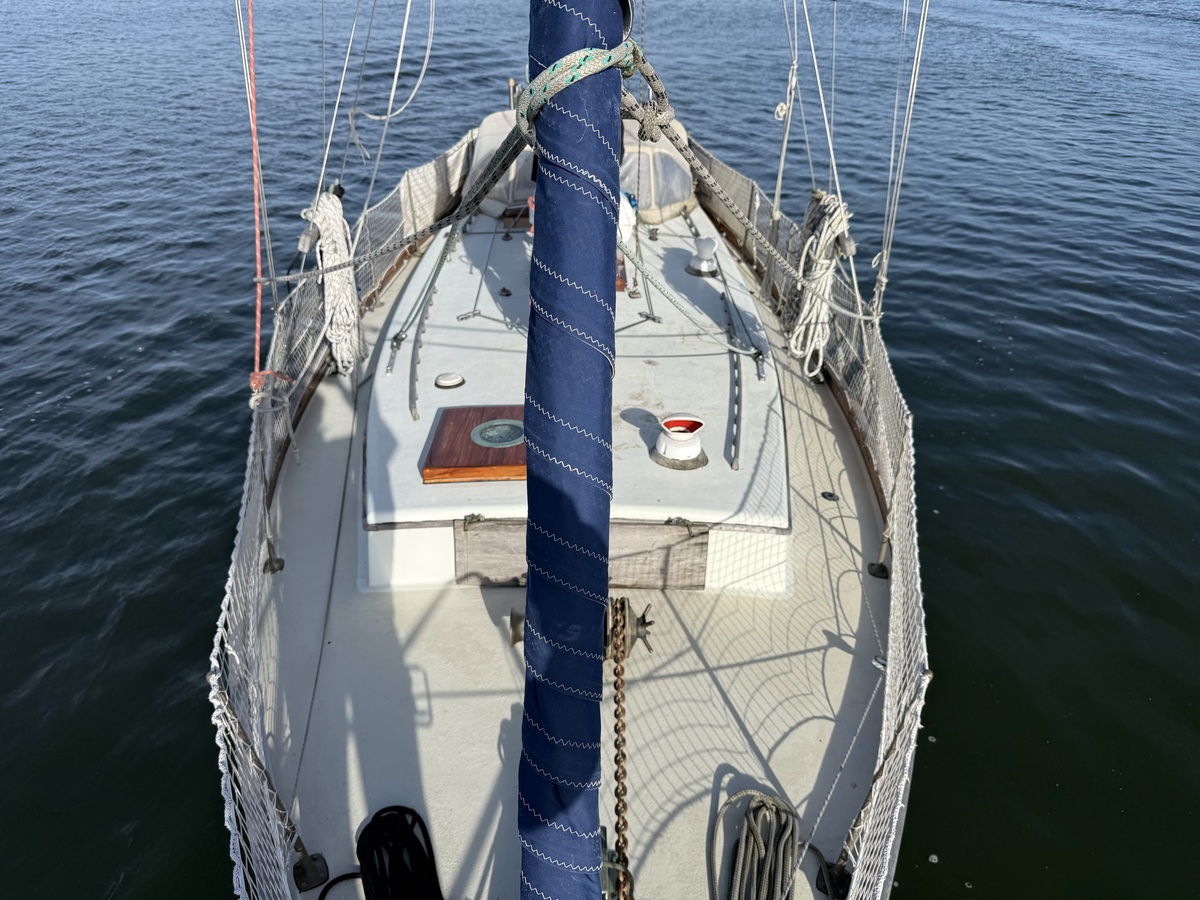ORCA 38 — foto 61 van 74