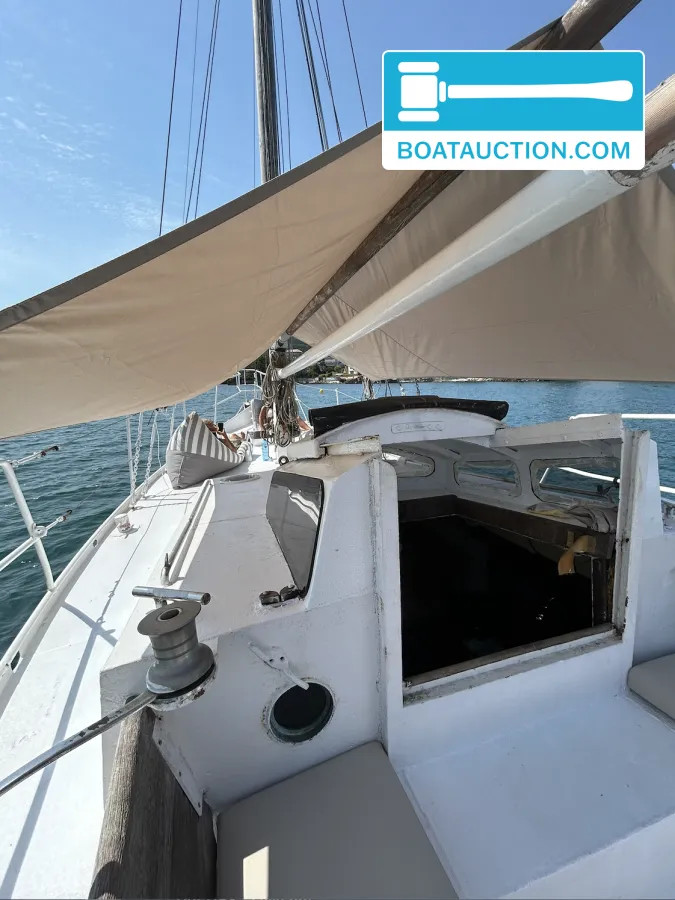 Danish Rose 1000 nu in de online veiling. — foto 5 van 12
