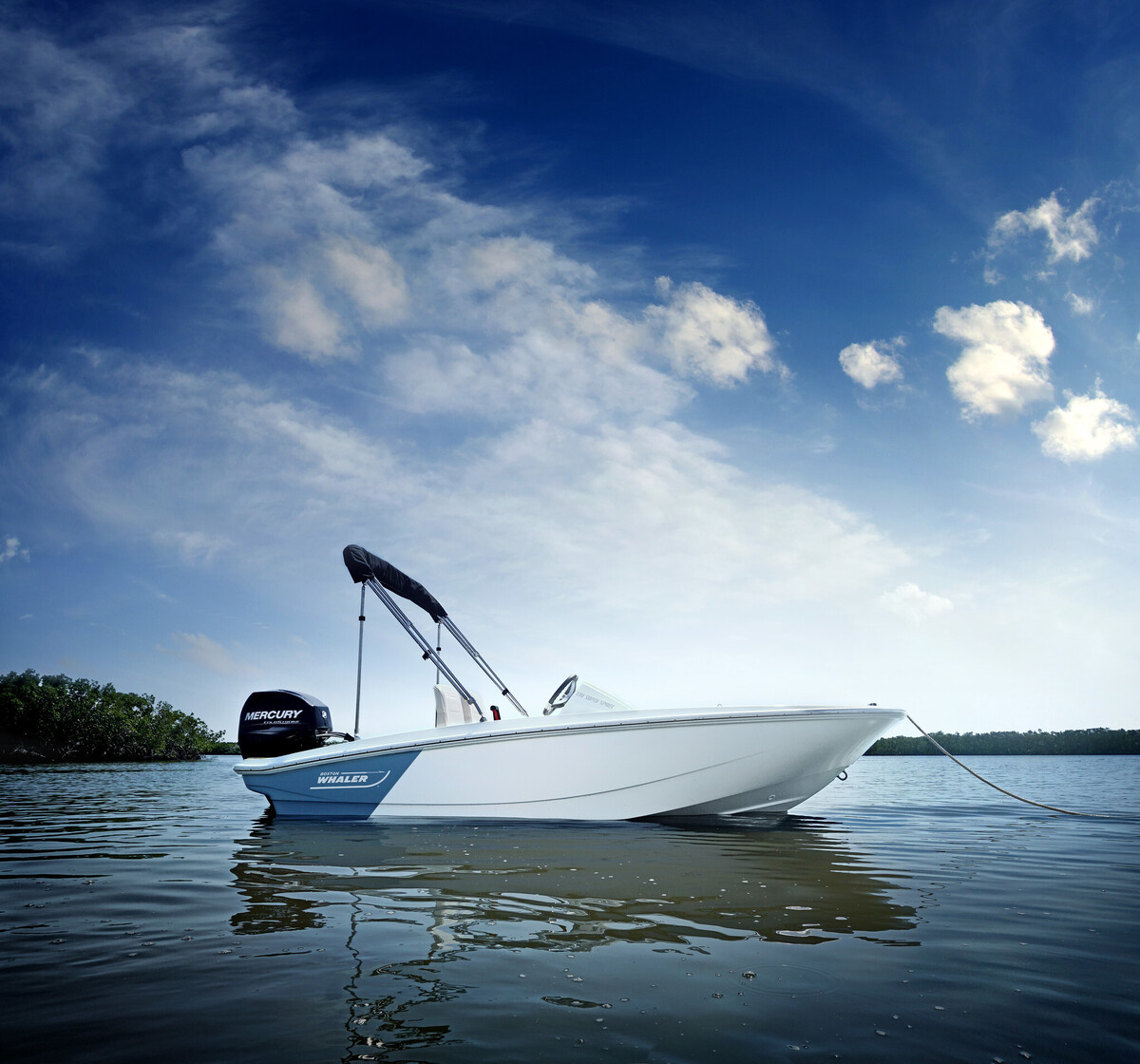 Boston Whaler 130 Super Sport — foto 1 van 18