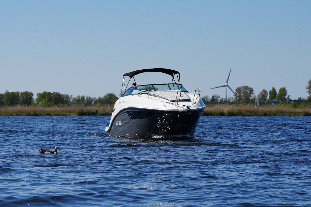 Sea Ray Sundancer 265 — foto 8 van 66