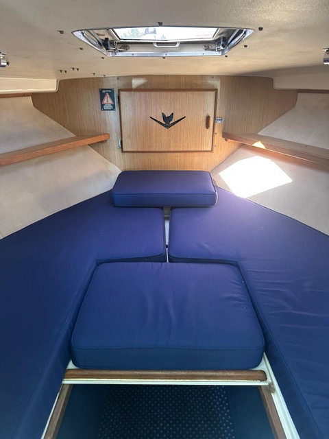 Bertram 28 Cruiser - BluYachting — foto 6 van 12