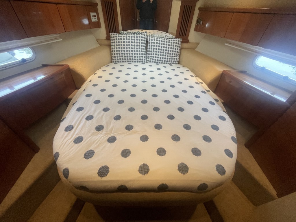 Sealine S38 — foto 26 van 32