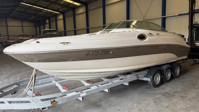 Sea ray — foto 4 van 16
