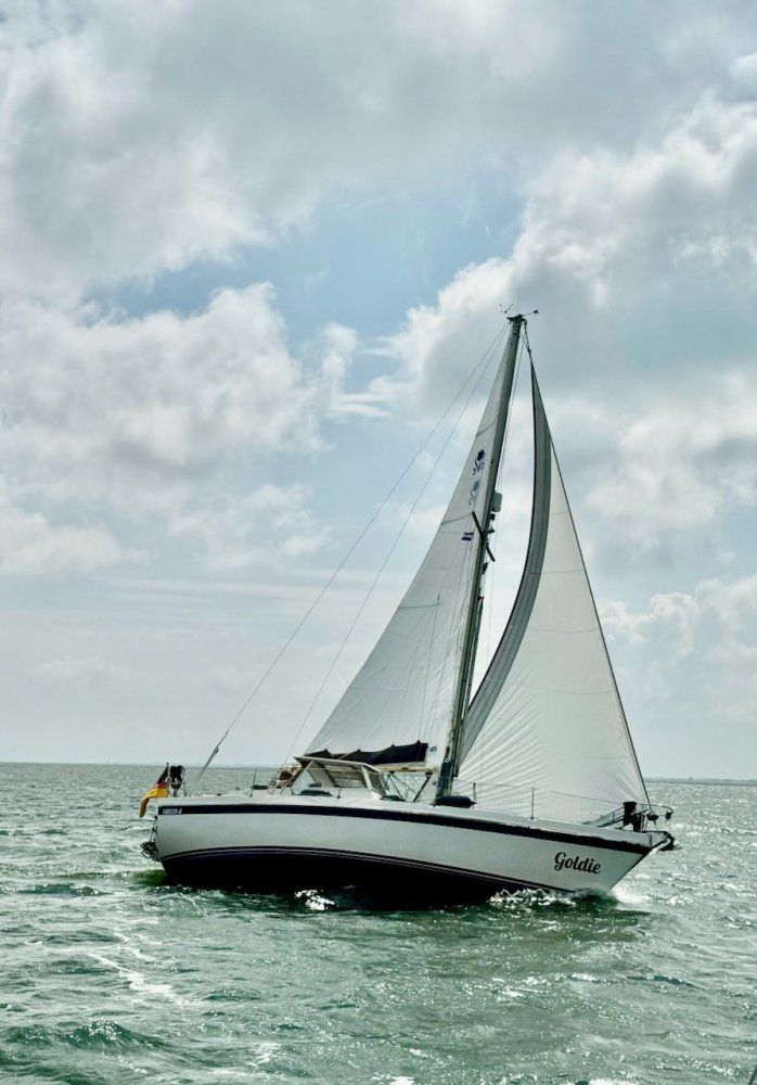 Contest - Sailing Yacht - GRP (Polyester) - 1979 - € 49.900 — foto 4 van 11