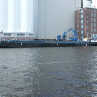Loasis — foto 6 van 7