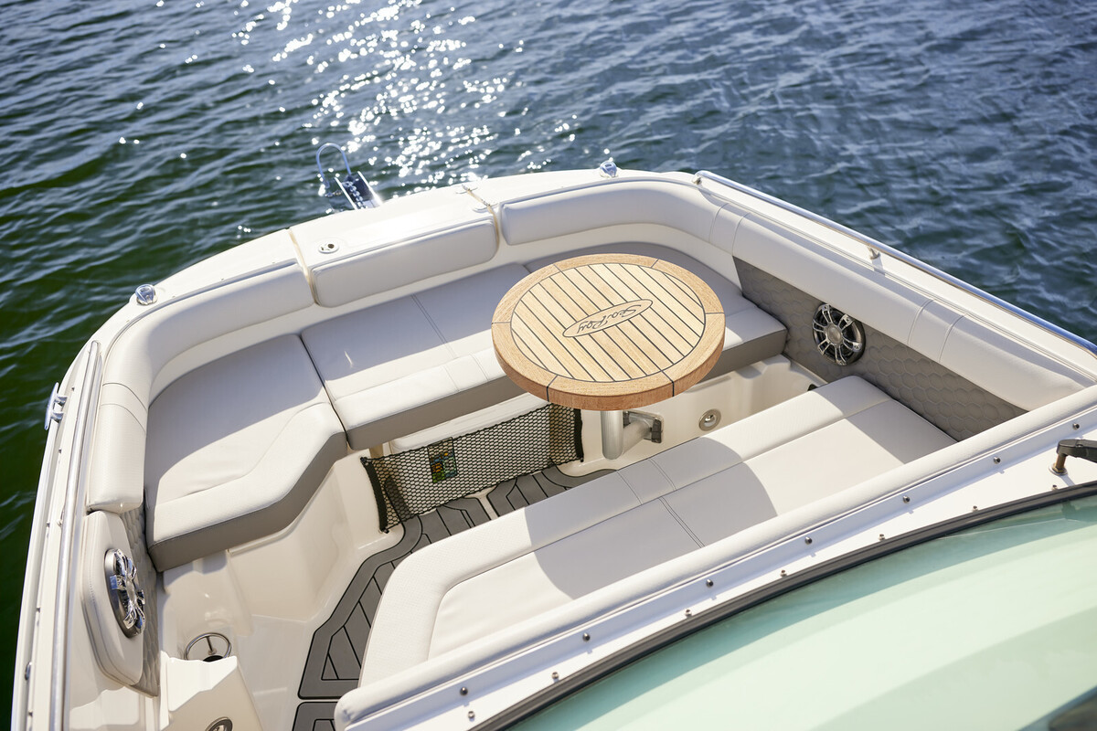 Sea Ray SDX 250 — foto 7 van 82