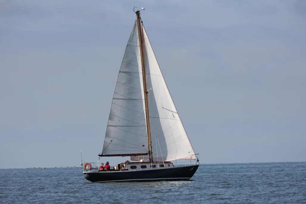 Blauwvoet Custom Steel 10 Meter