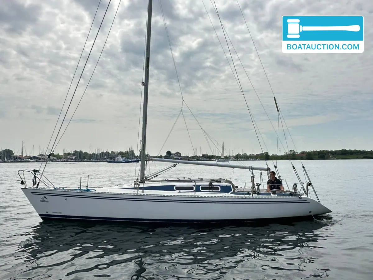 Diamant 3000 nu in de online veiling. — foto 9 van 67