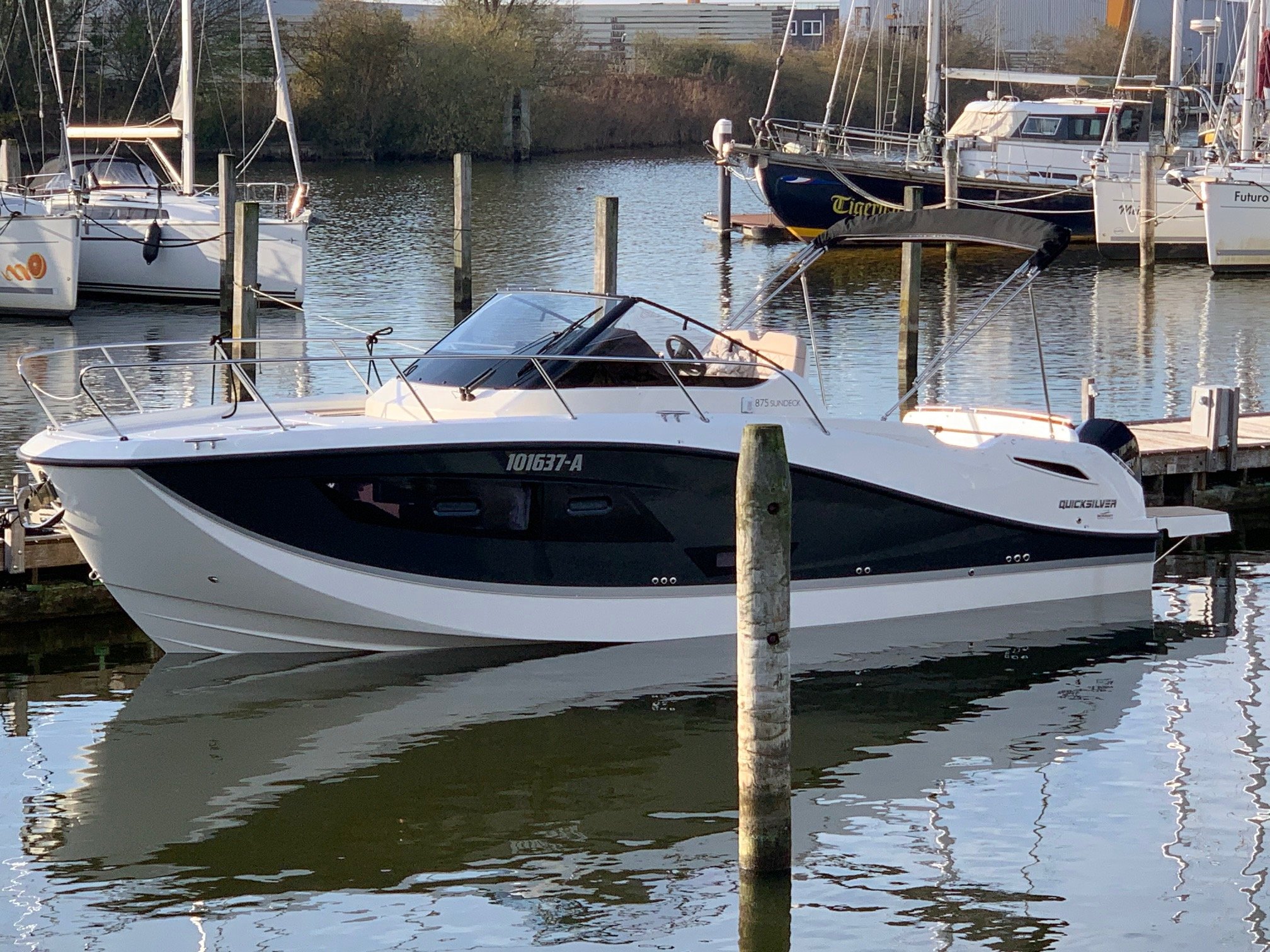 Quicksilver 875 Sundeck — foto 8 van 11