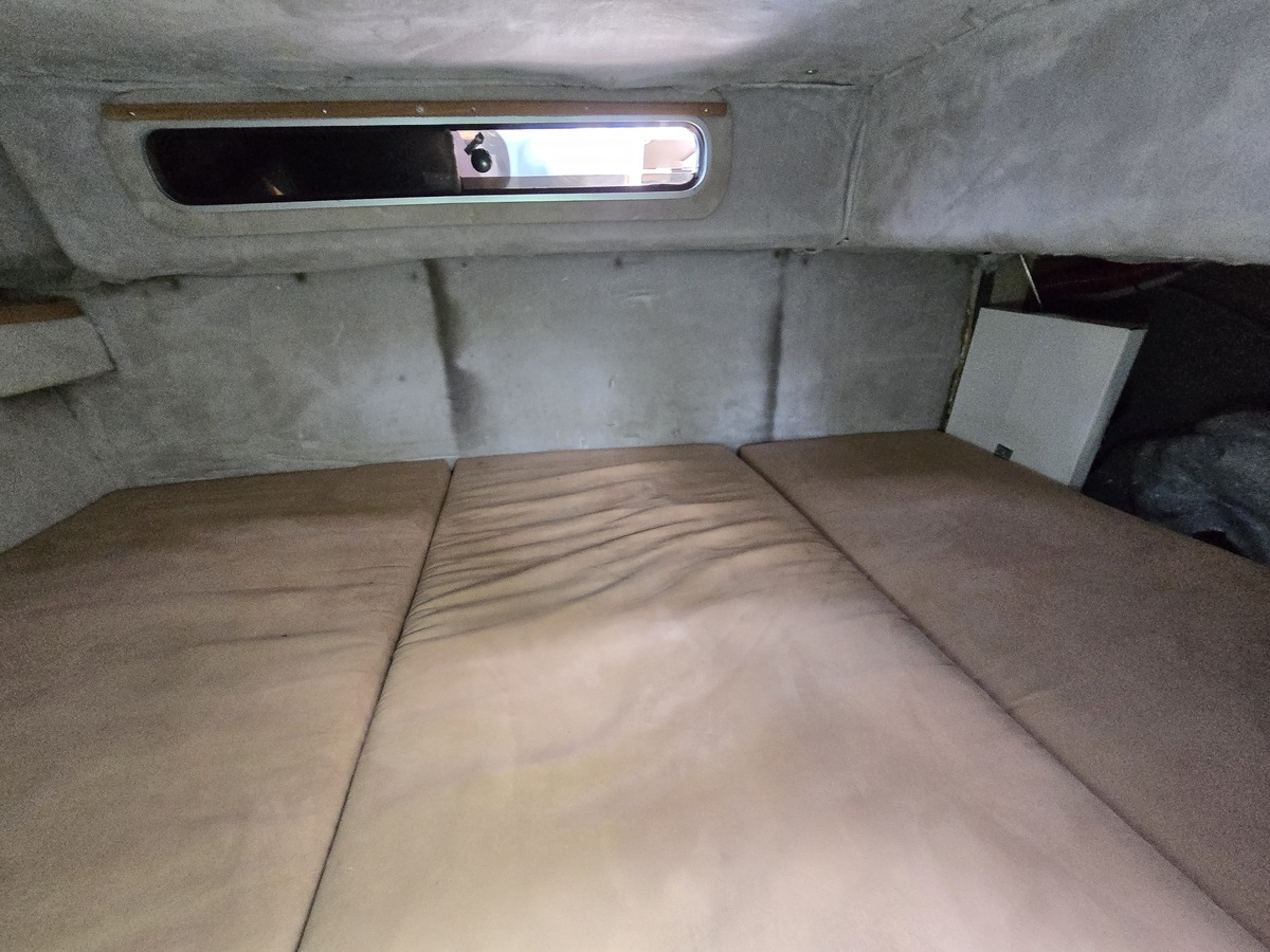Sea Ray 220DA — foto 16 van 23