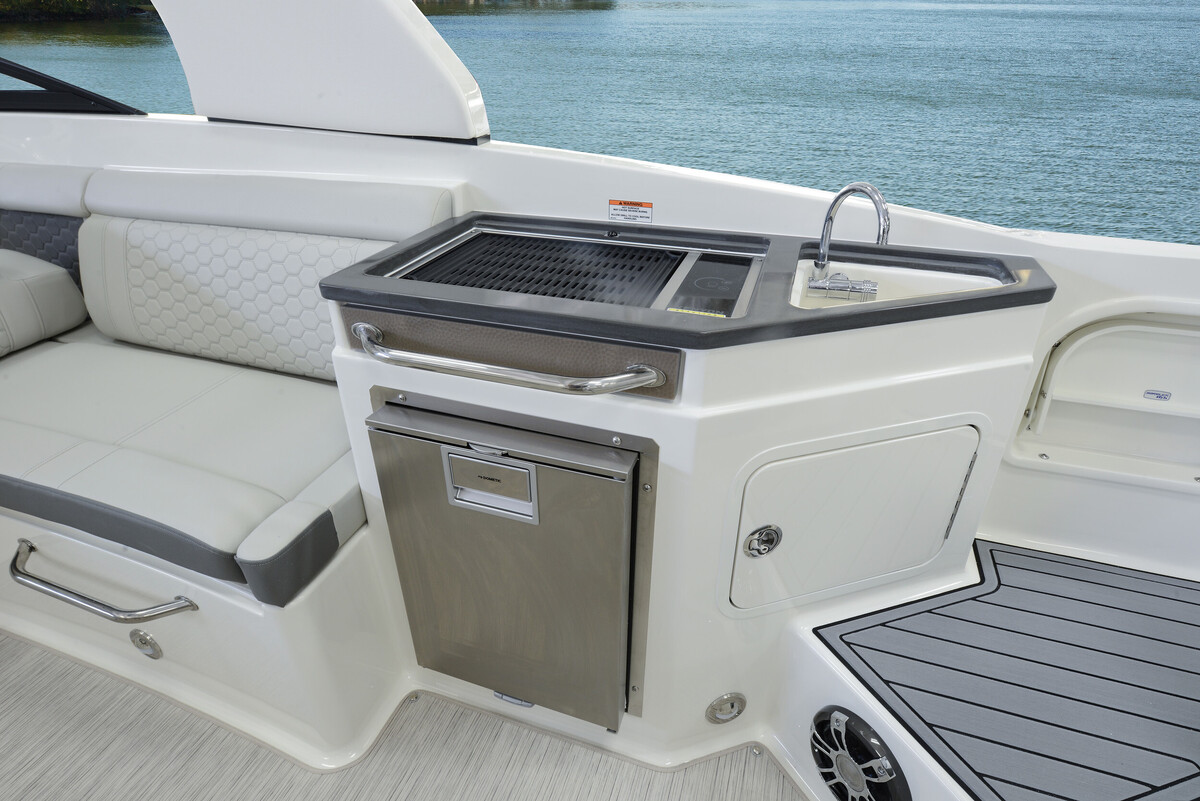 Sea Ray SDX 290 — foto 7 van 12