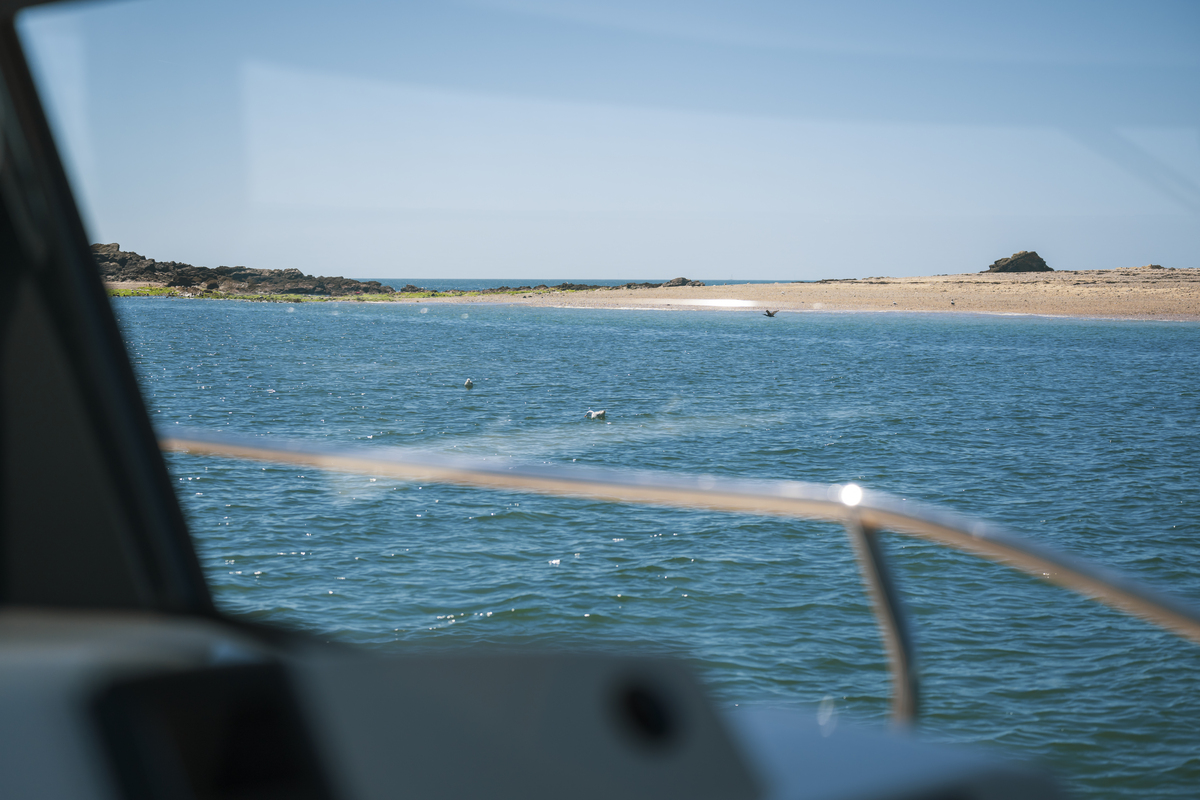 Delphia Yachts 12 Sedan — foto 11 van 12