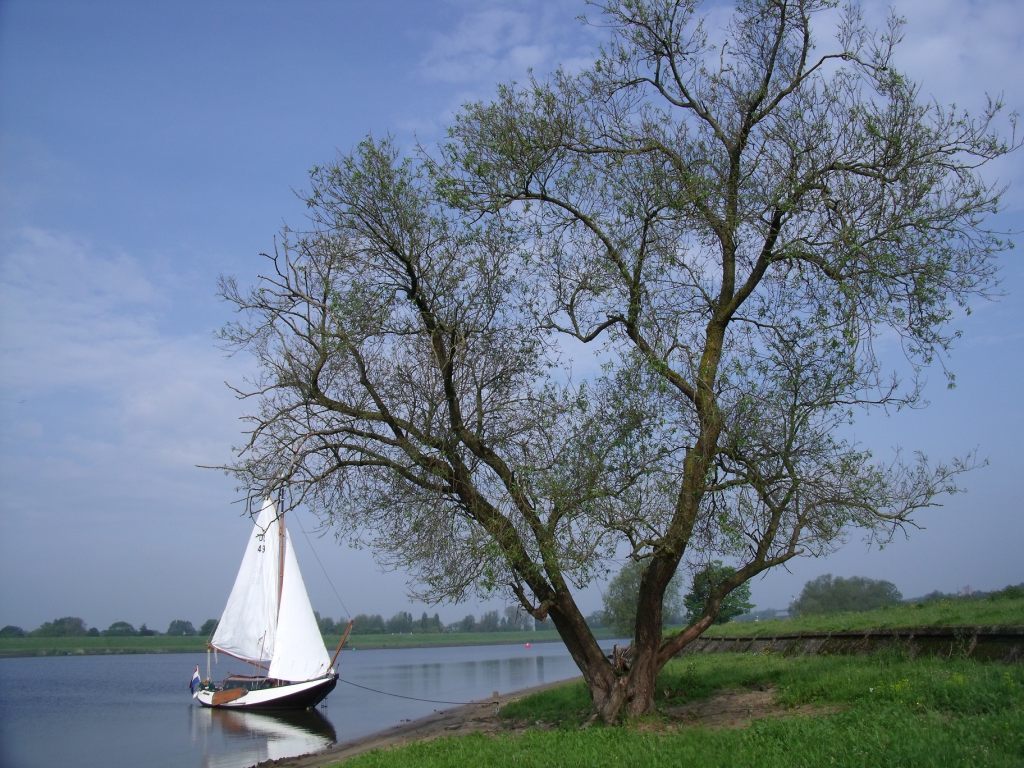Hoogaars 8.70 — foto 4 van 9