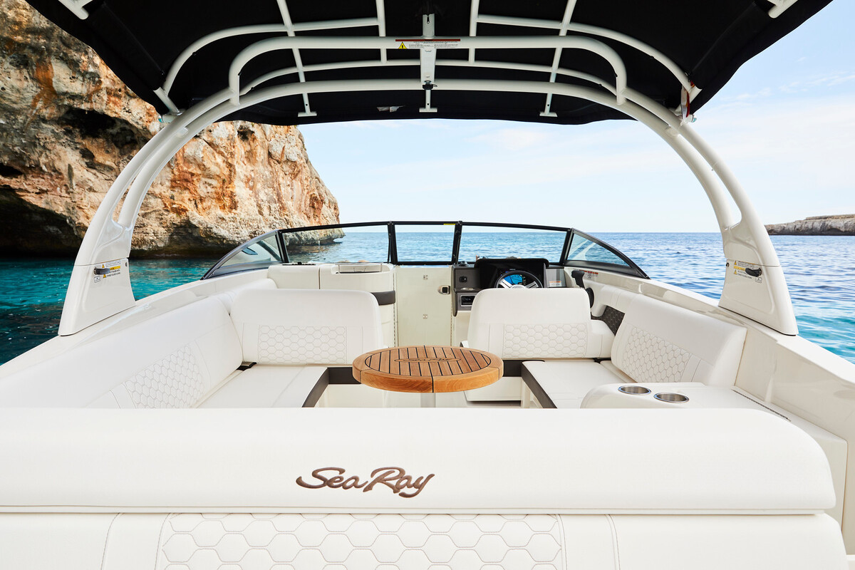 Sea Ray SDX 270 — foto 6 van 10