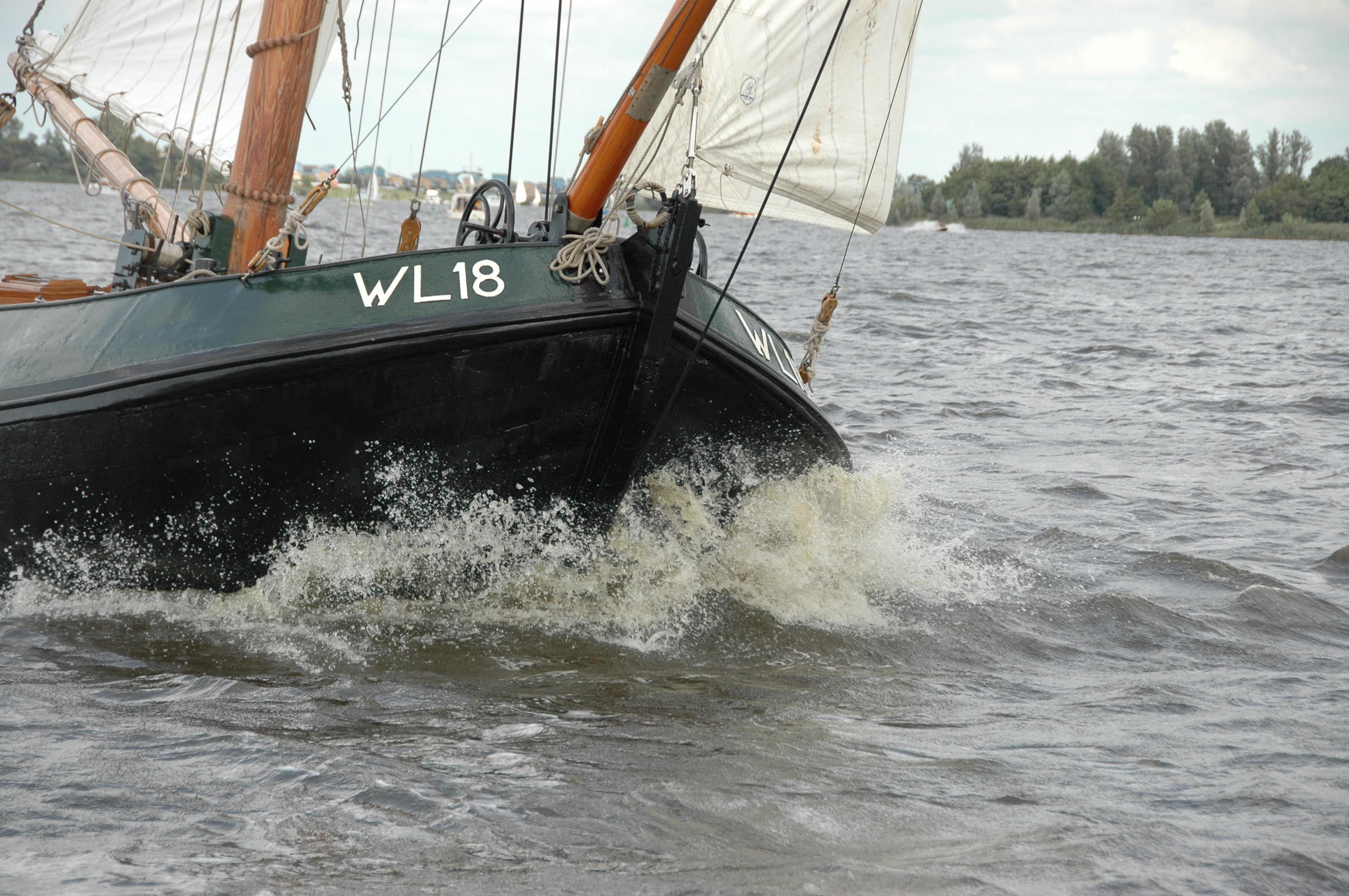 Lemsteraak WL 18 Fasant - Roefuitvoering Jachtuitvoering — foto 7 van 24