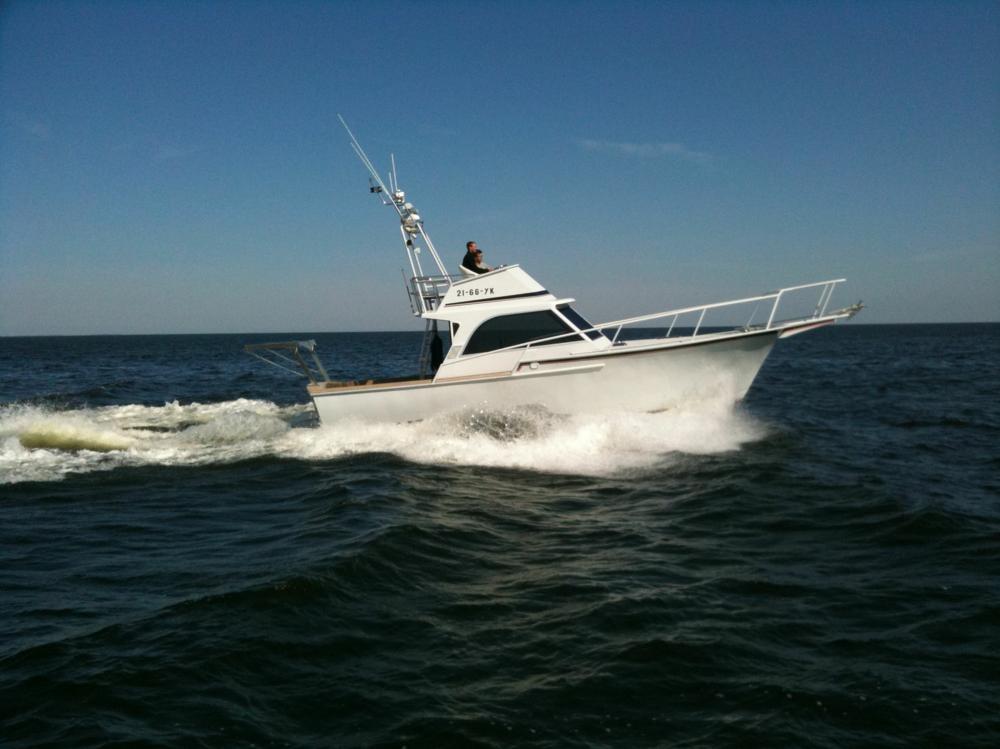 Striker Sport Fisher — foto 11 van 25