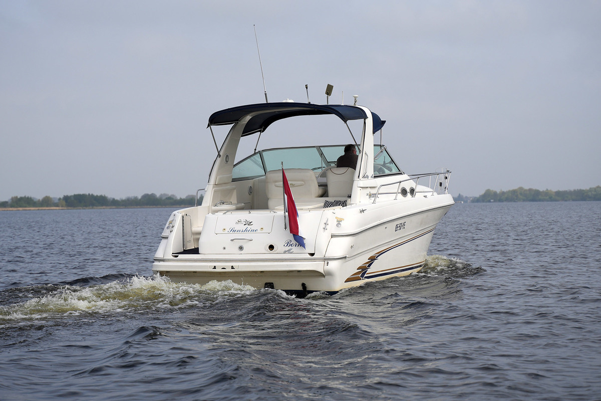 Sea Ray 310 Sundancer — foto 4 van 50
