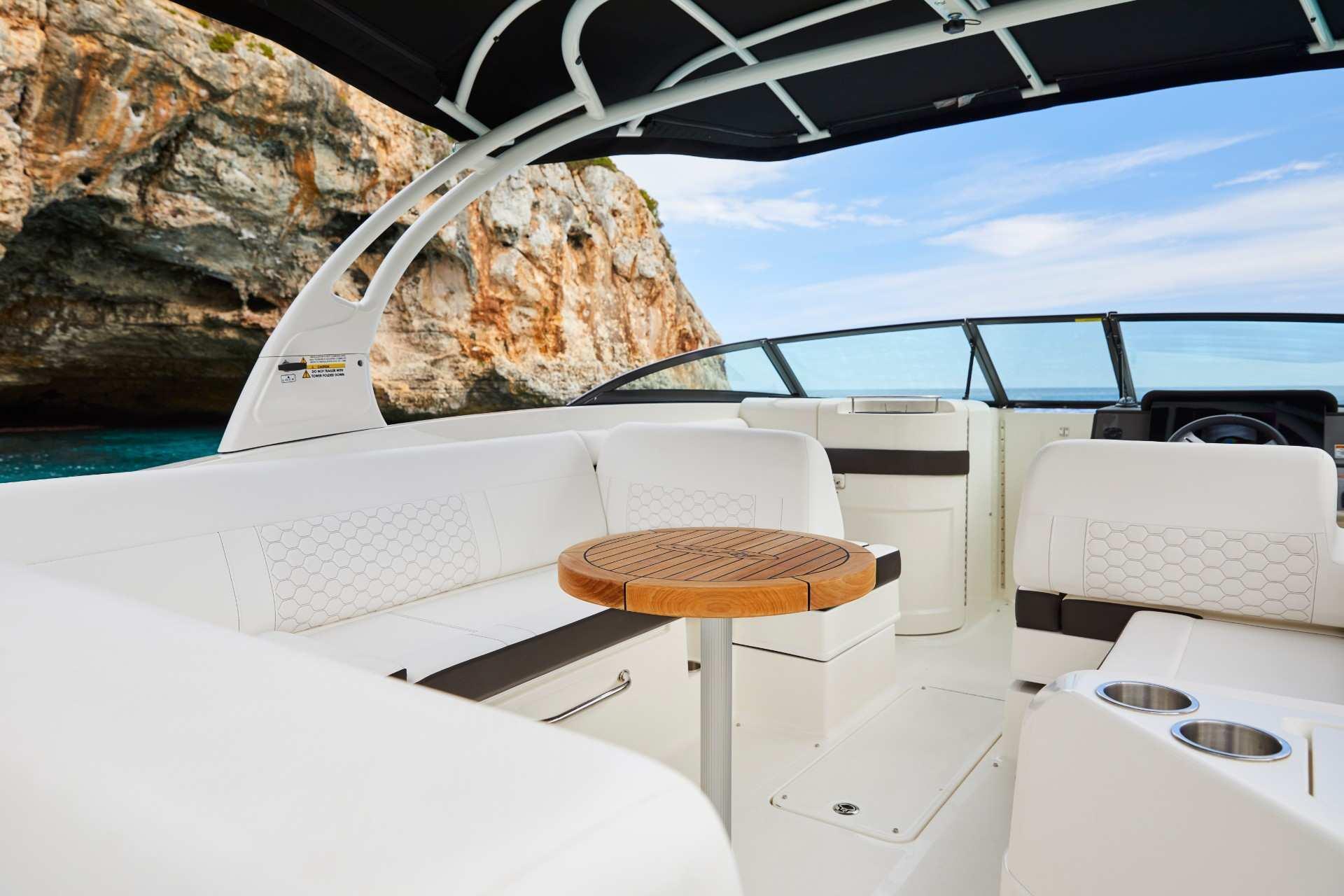 Sea Ray SDX 270 — foto 4 van 11