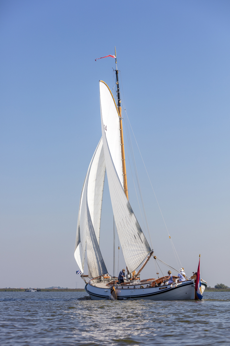 Lemsteraak Visotter - Roefuitvoering — foto 10 van 31