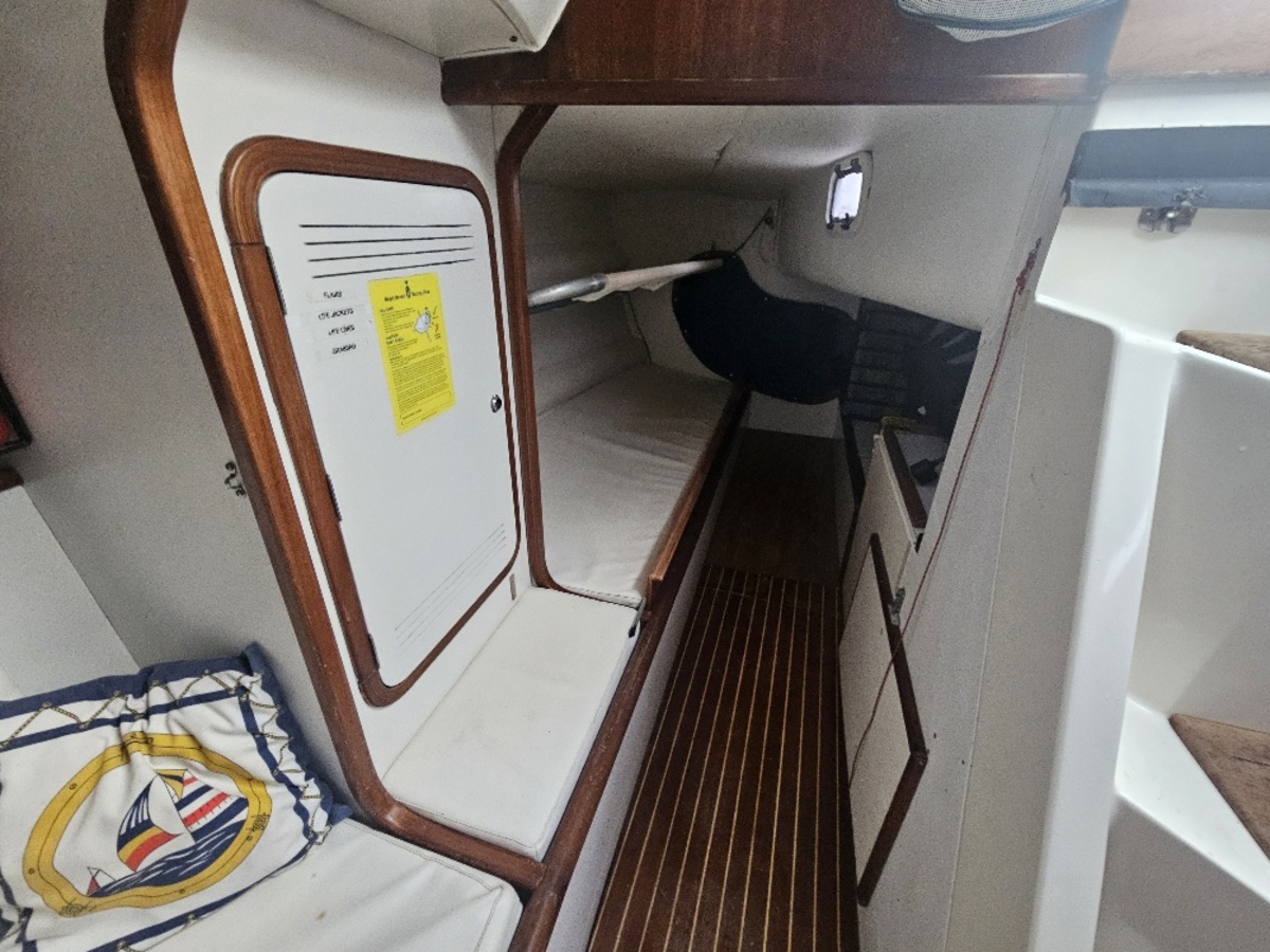 Rodman 42 — foto 20 van 33