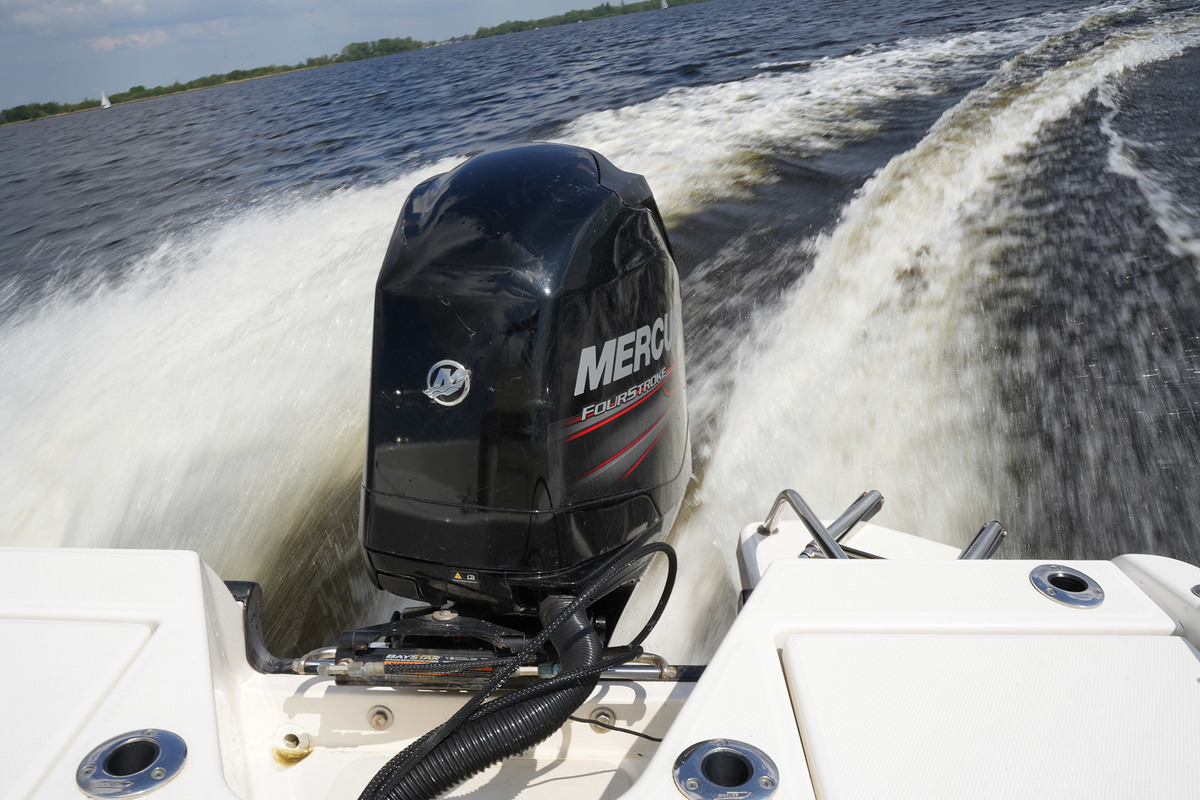 Boston Whaler 170 Dauntless — foto 29 van 36