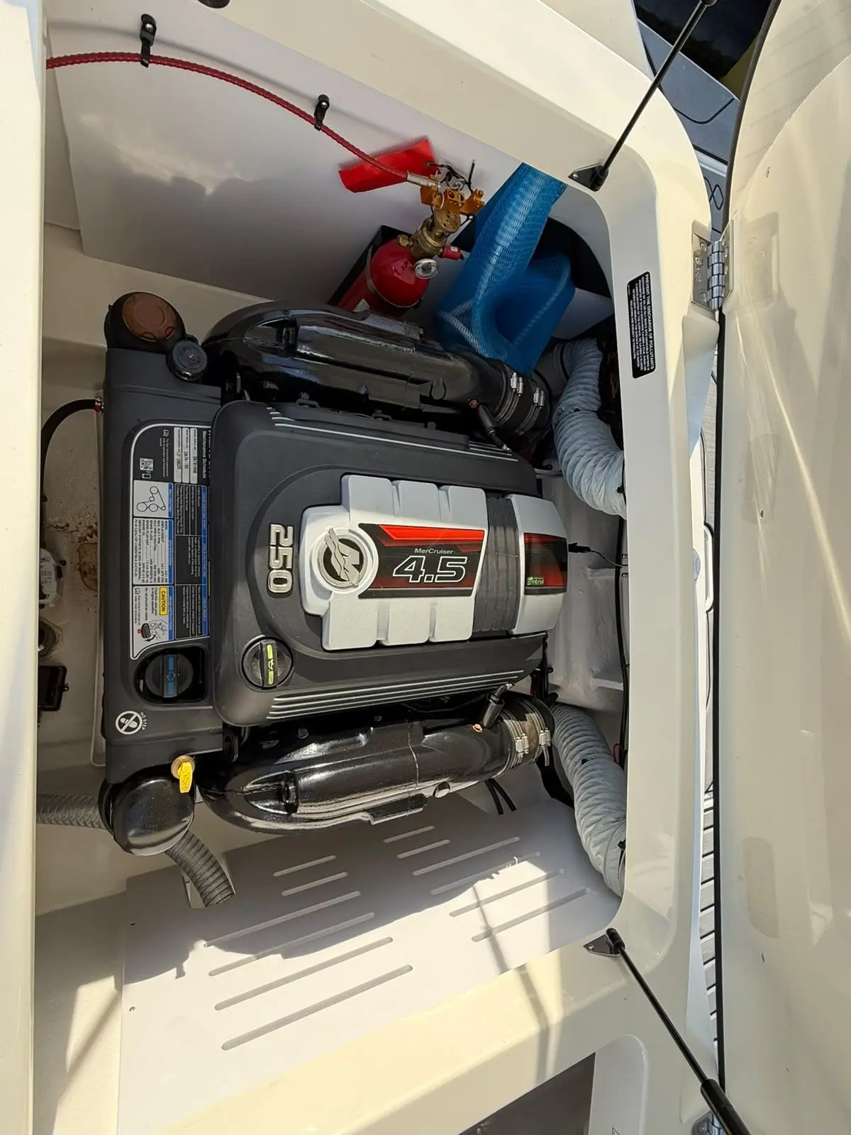 Sea Ray SPX 210 (New Model / 2026) — foto 24 van 31
