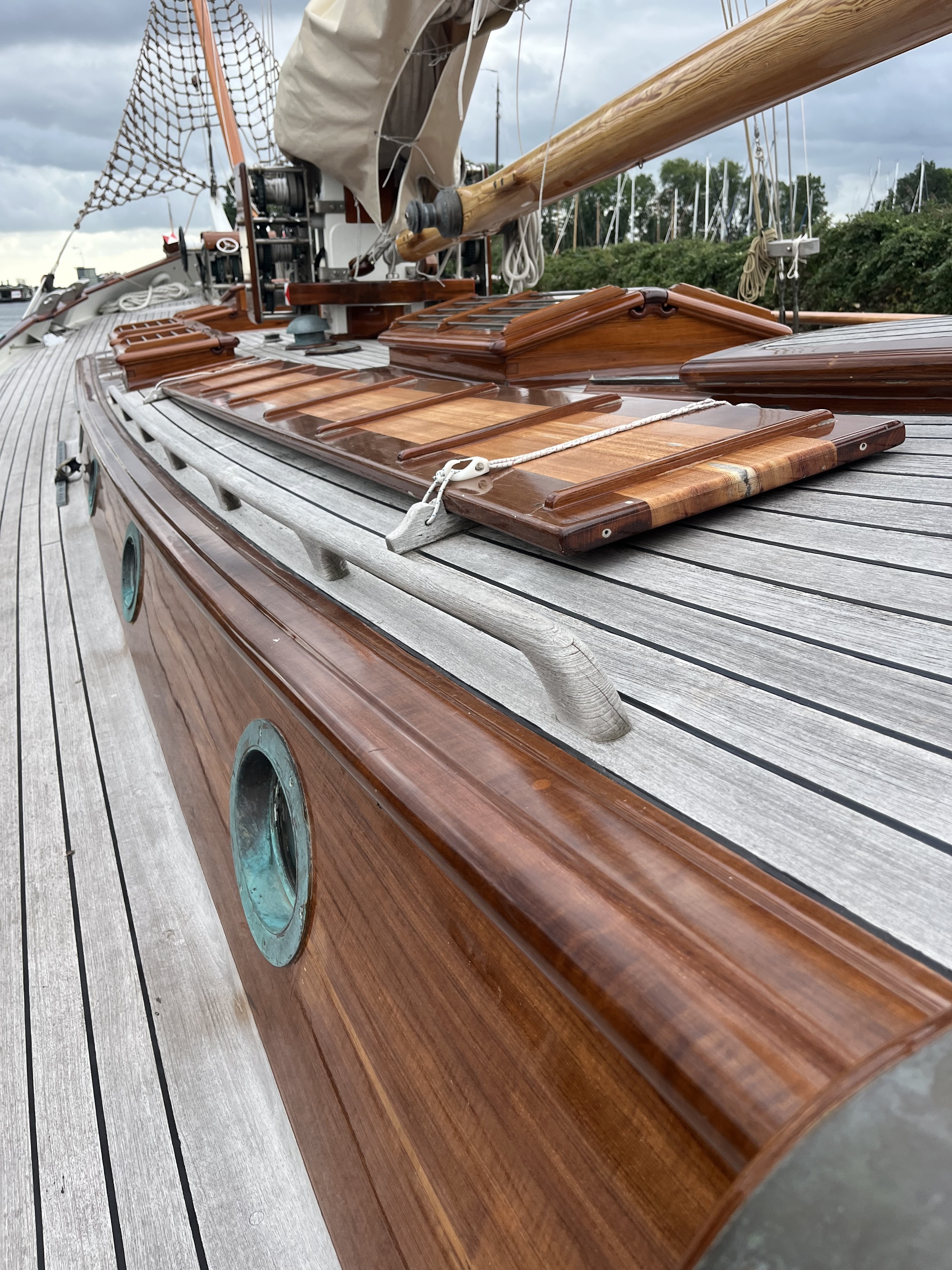 Lemsteraak Gouden Leeuw - Roefaak Hoek Design — foto 40 van 59