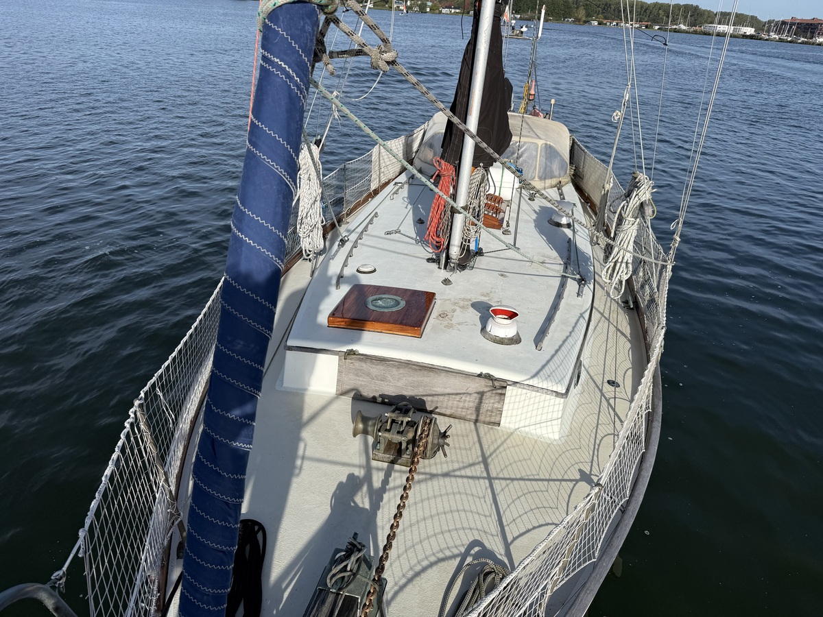 ORCA 38 — foto 60 van 74